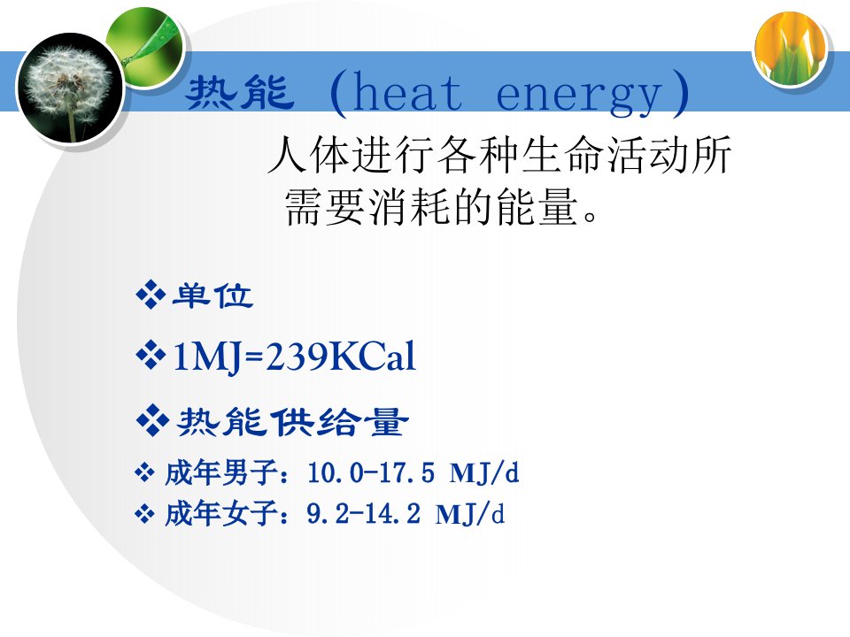 基础护理学第13章饮食与营养ppt课件