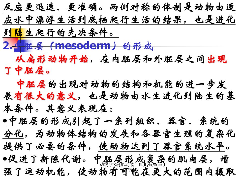 动物学3扁形动物门Platyhelminth课件