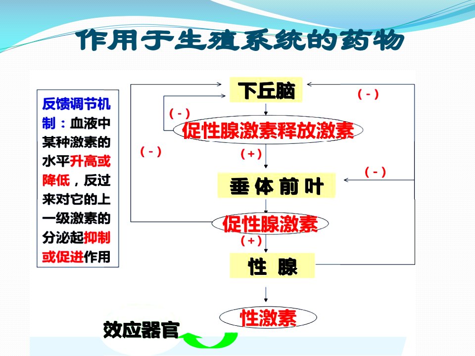 医学专题8.第七章生殖系统药理陈海兰