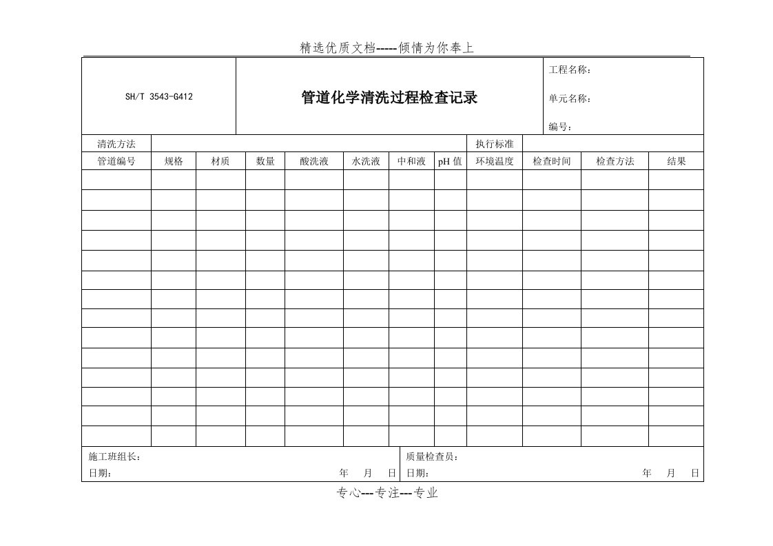 管道化学清洗过程检查记录(共2页)