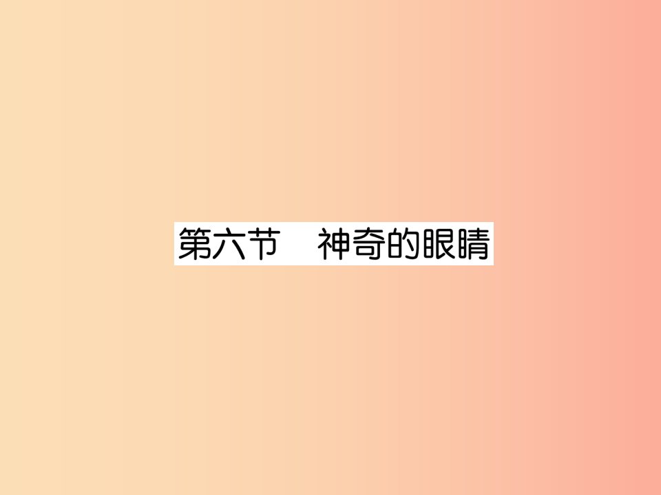 2019年八年级物理上册