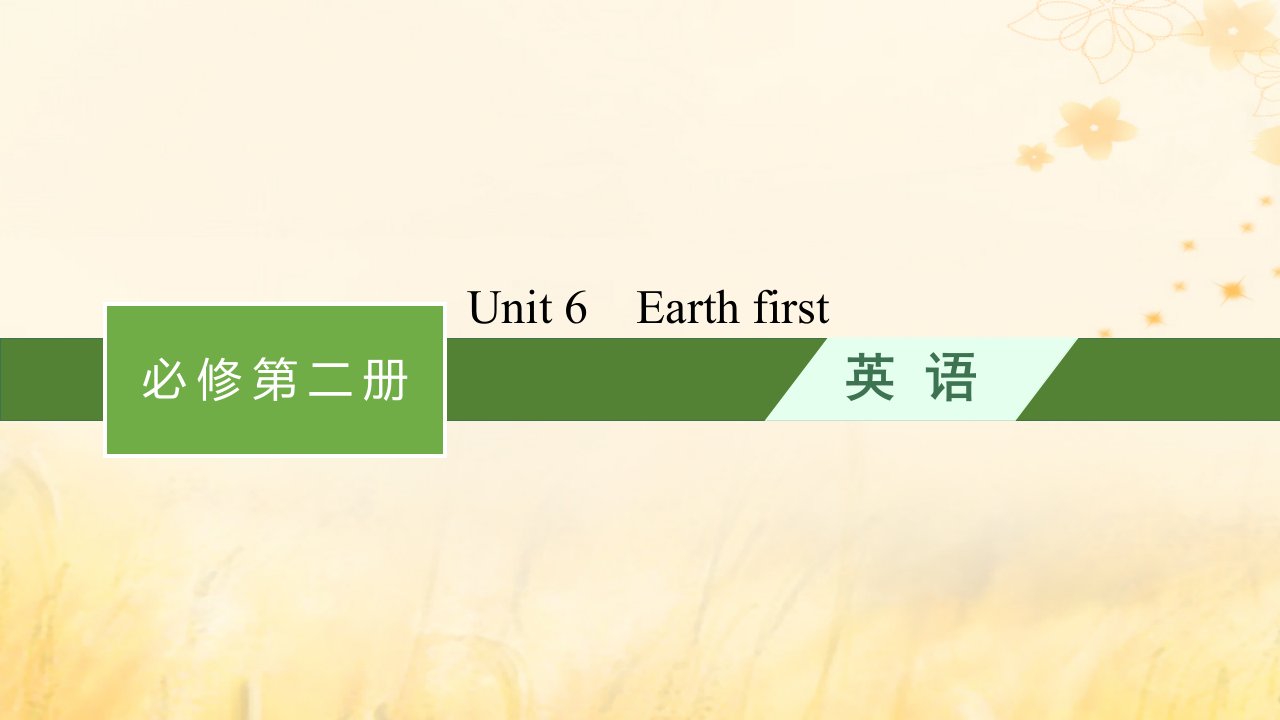 适用于新教材2024版高考英语一轮总复习Unit6Earthfirst课件外研版必修第二册