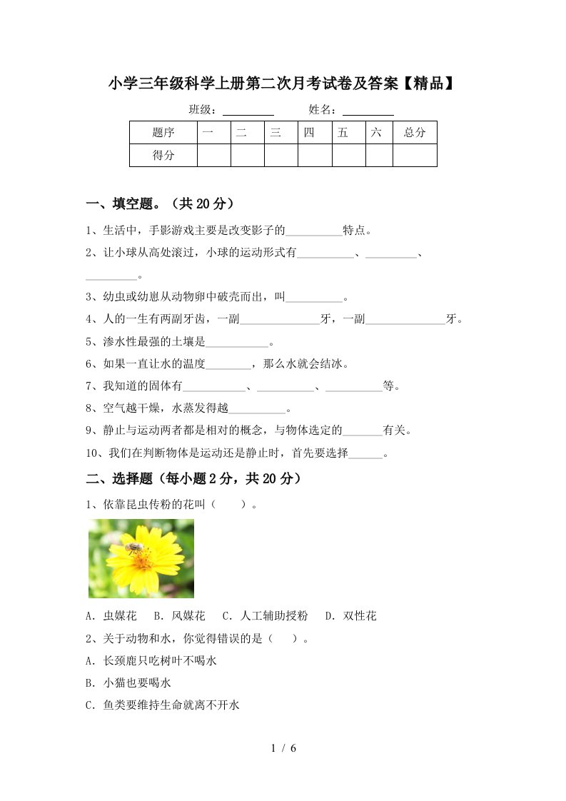 小学三年级科学上册第二次月考试卷及答案精品