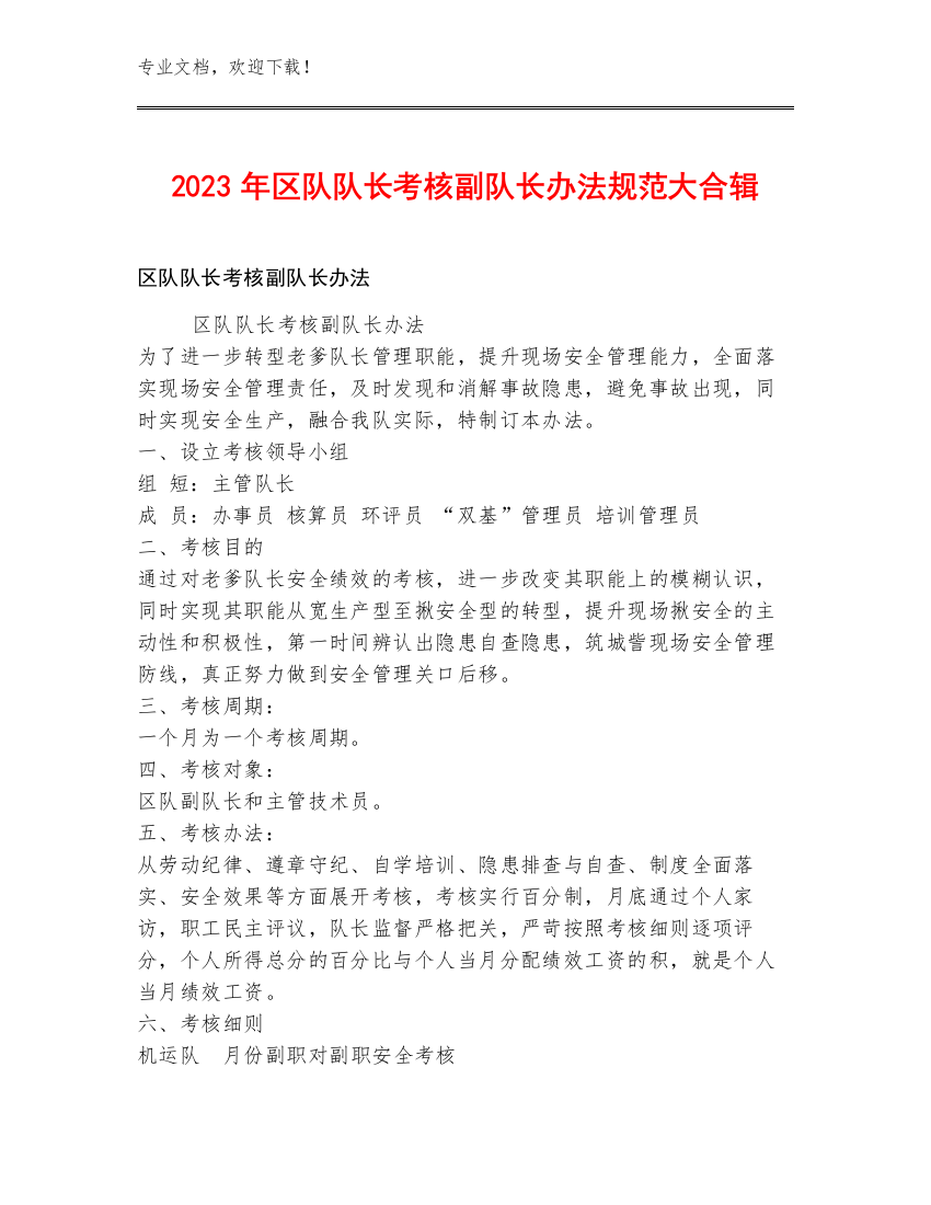 2023年区队队长考核副队长办法规范大合辑