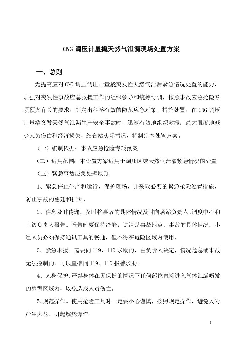 CNG调压计量撬系统天然气泄漏现场处置方案