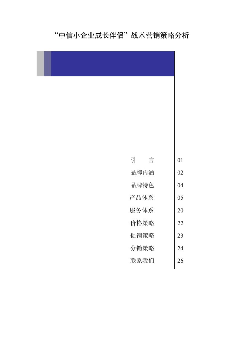 推荐-中信小企业成长伴侣战术营销策略分析