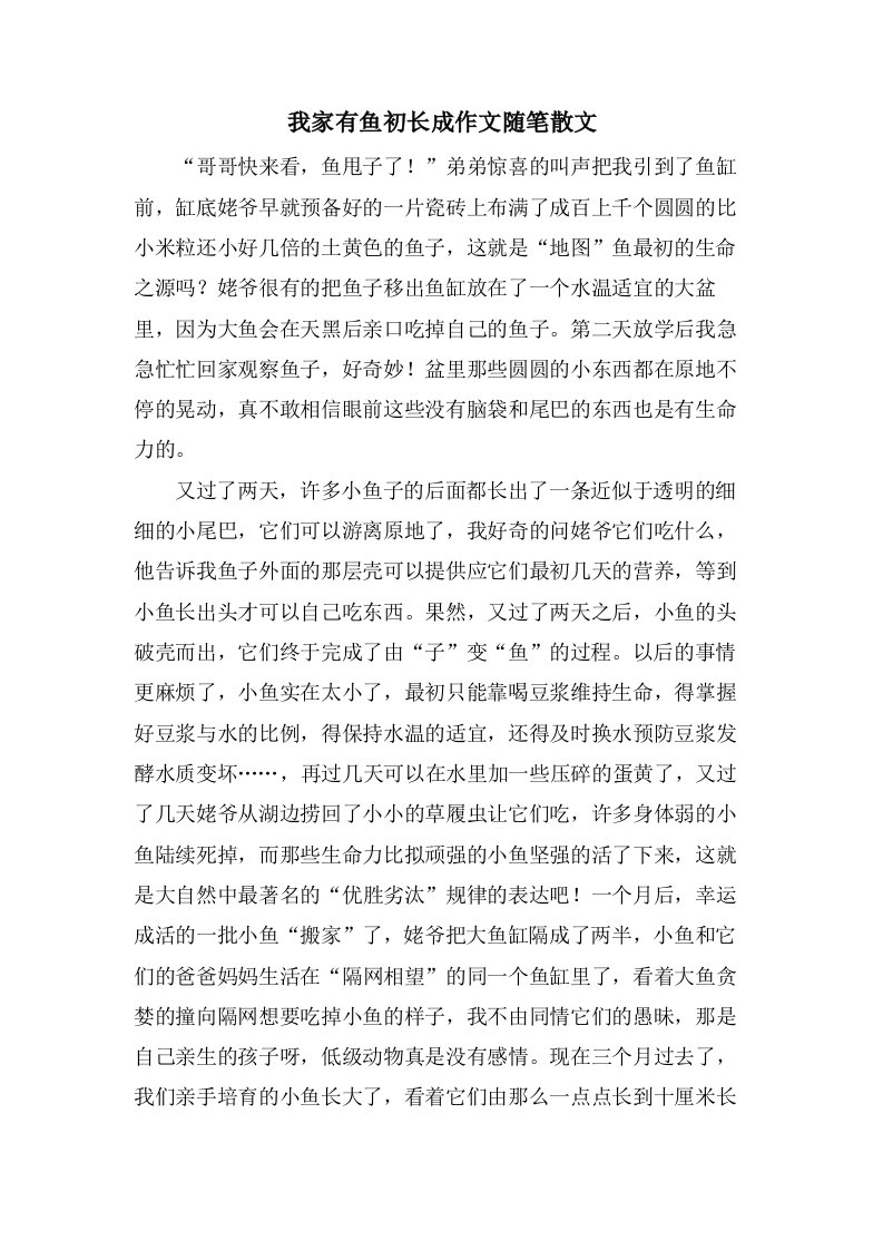 我家有鱼初长成作文随笔散文