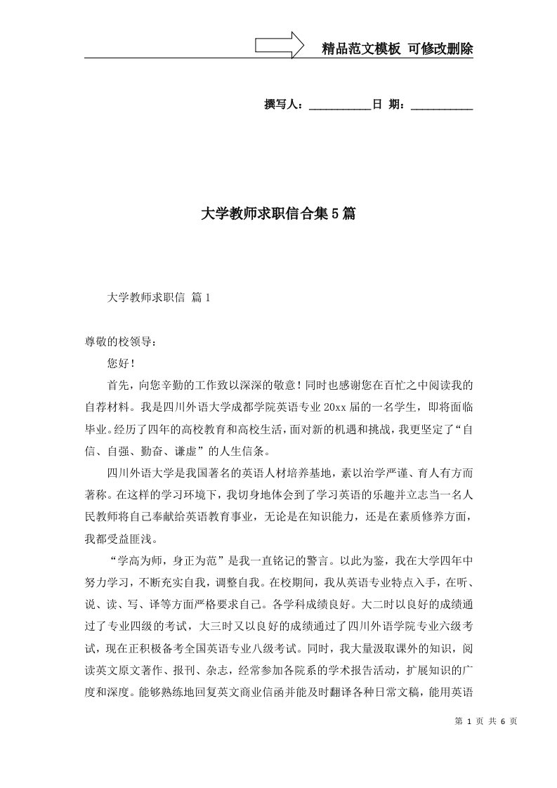 大学教师求职信合集5篇