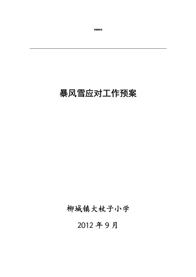 暴风雪应对工作预案供参考学习