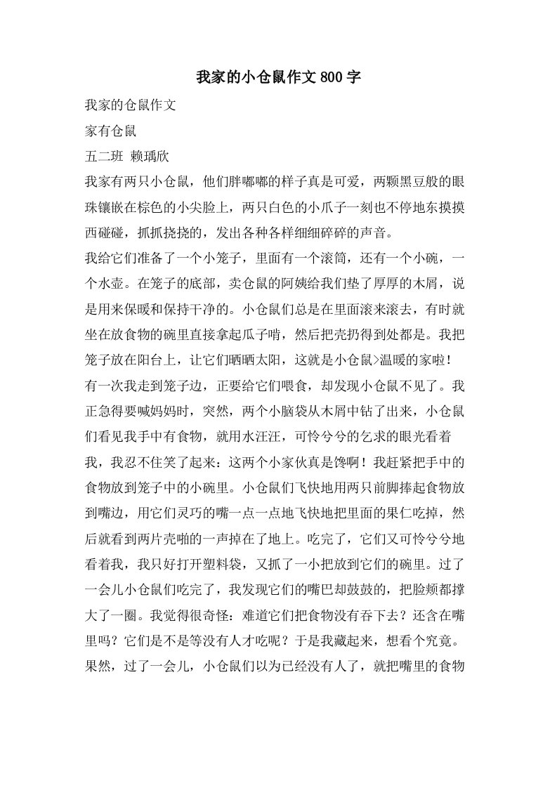 我家的小仓鼠作文800字