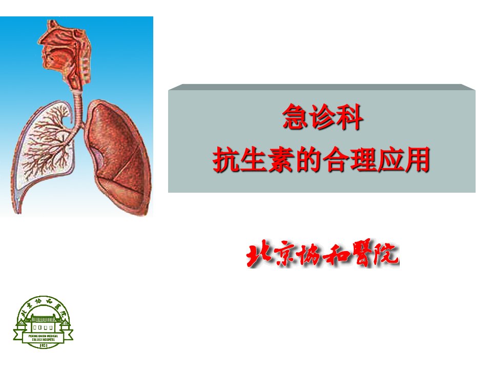 抗生素合理应用全