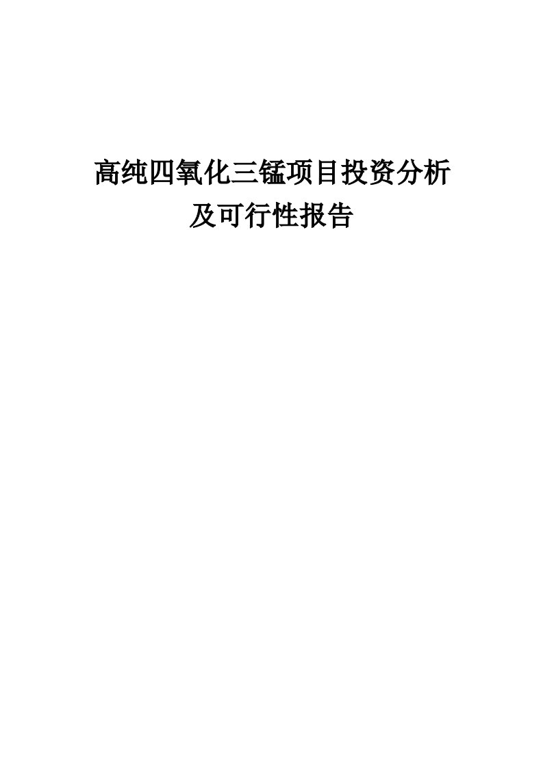 2024年高纯四氧化三锰项目投资分析及可行性报告