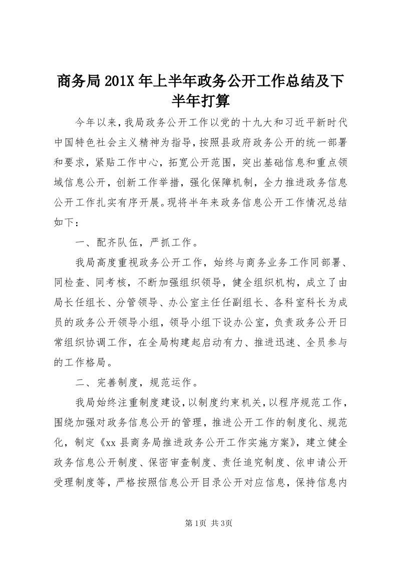 5商务局0X年上半年政务公开工作总结及下半年打算