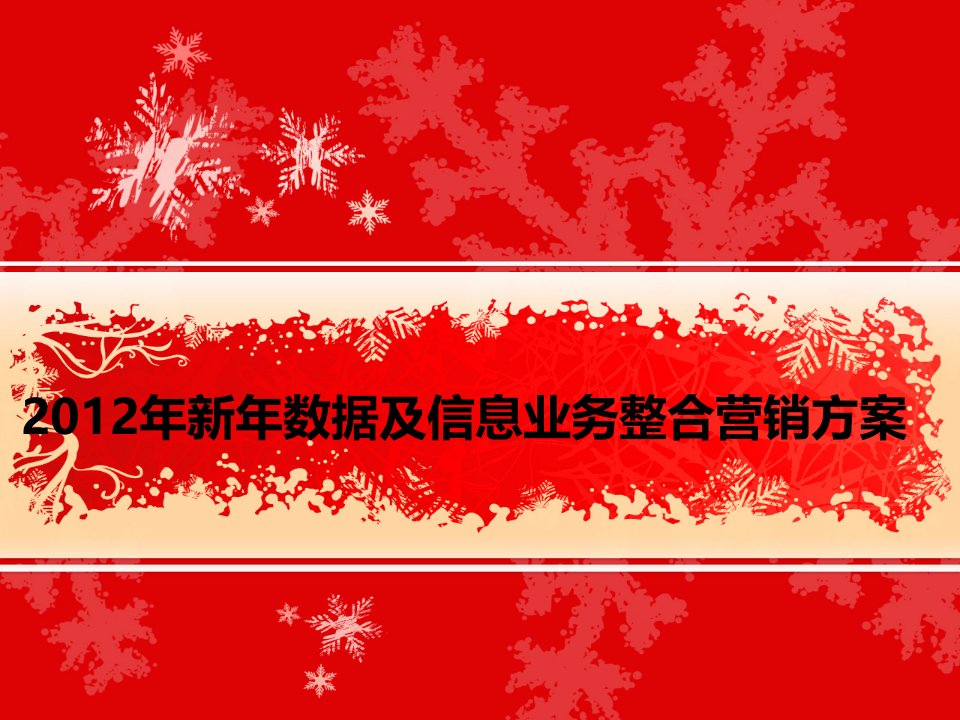 新年数据及信息业务整合营销方案