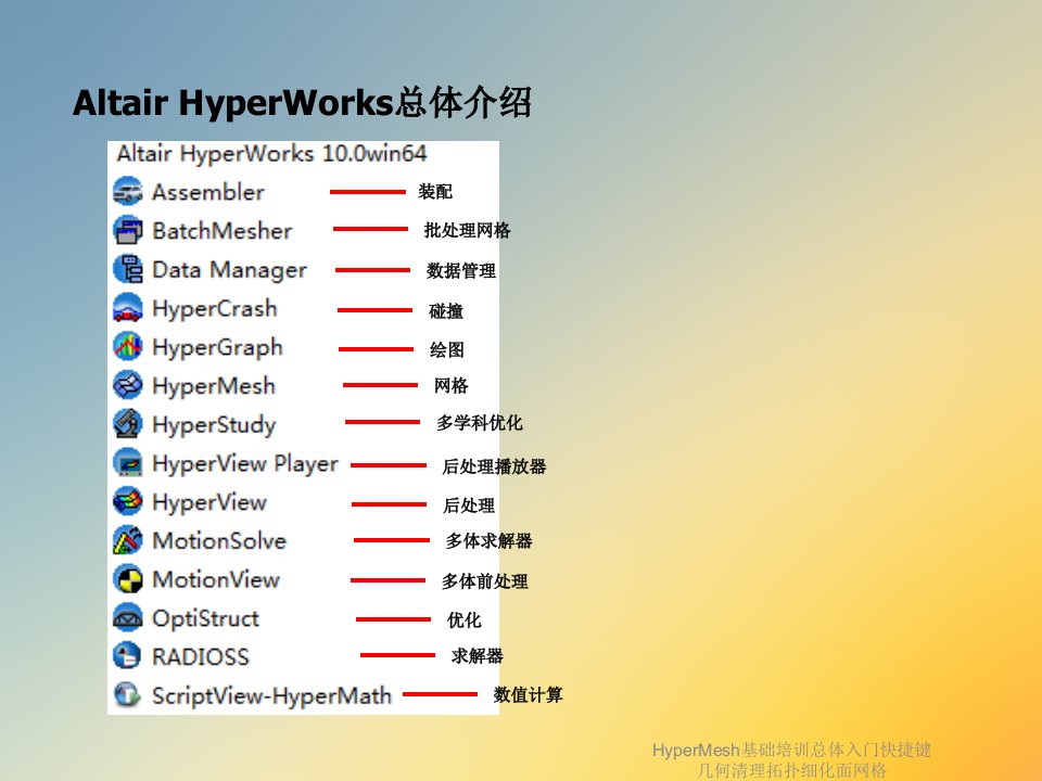 HyperMesh基础培训总体入门快捷键几何清理拓扑细化面网格课件