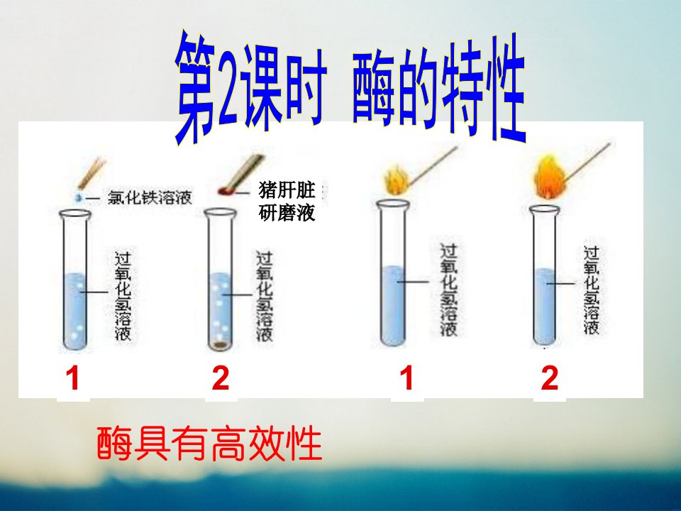 高中生物必修一第5章第1节第2课时《酶的特性》课件