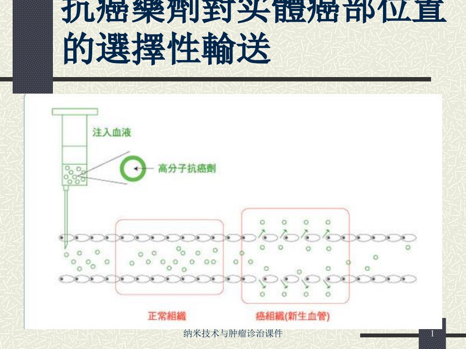 纳米技术与肿瘤诊治课件