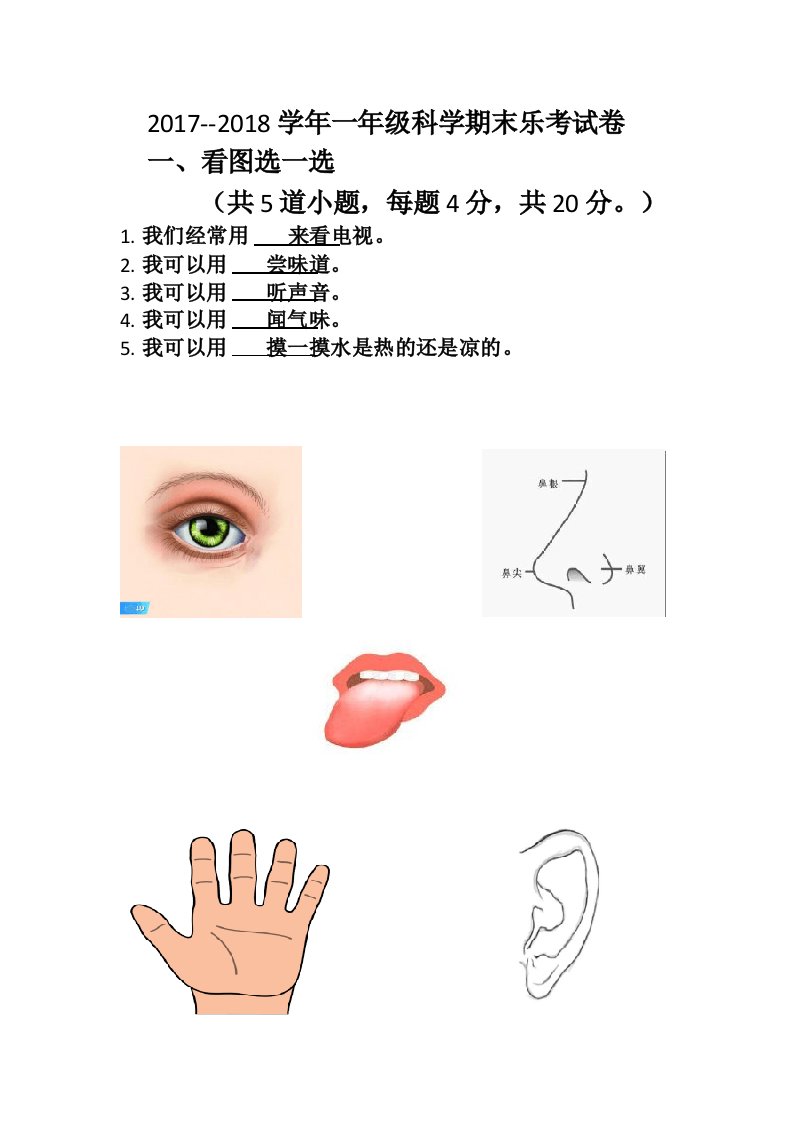 一年级科学乐考试卷