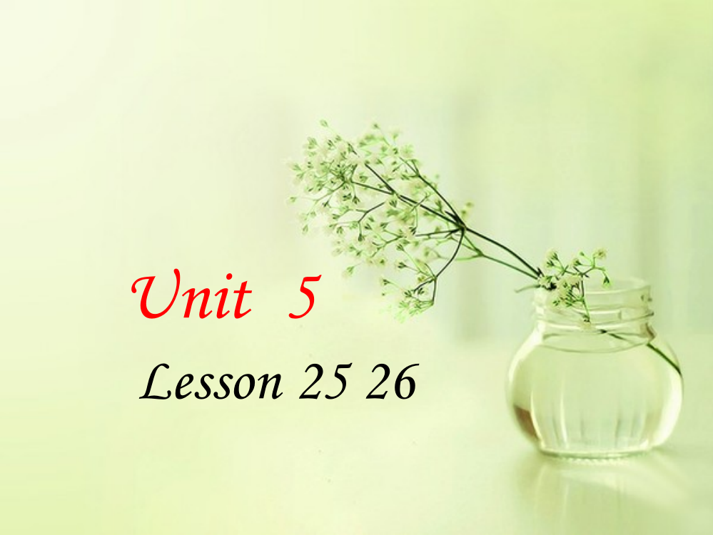 小学英语Book6Unit5lesson25