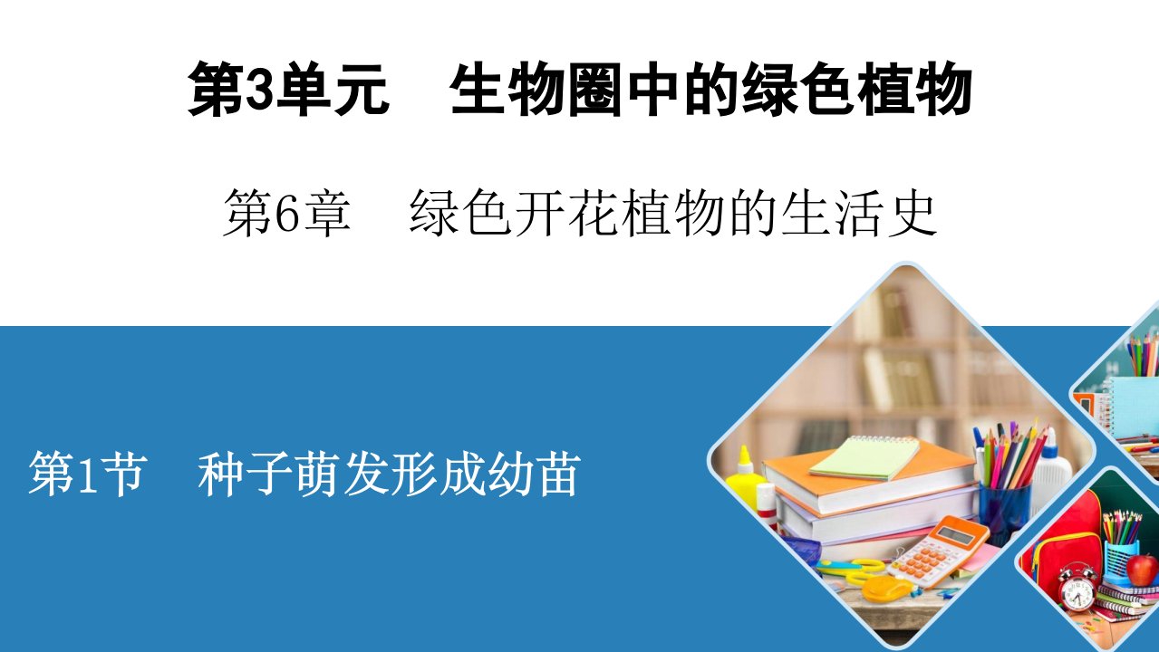 北师大生物七年级上册种子萌发形成幼苗课件