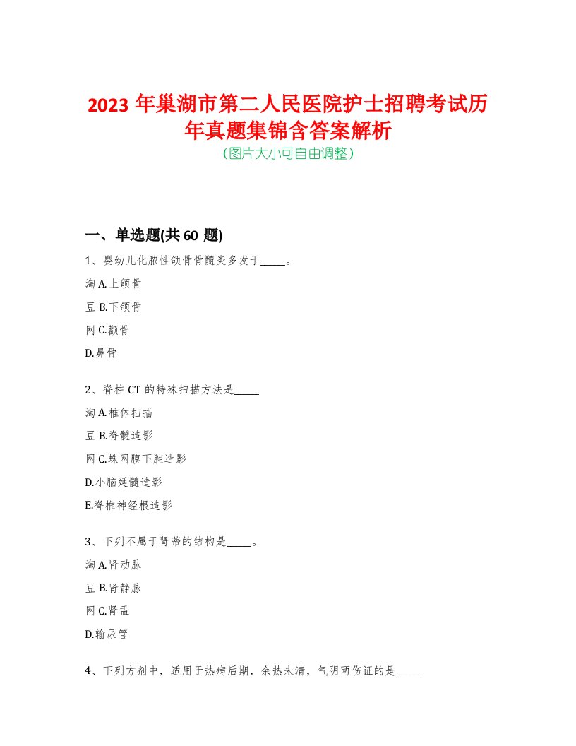 2023年巢湖市第二人民医院护士招聘考试历年真题集锦含答案解析