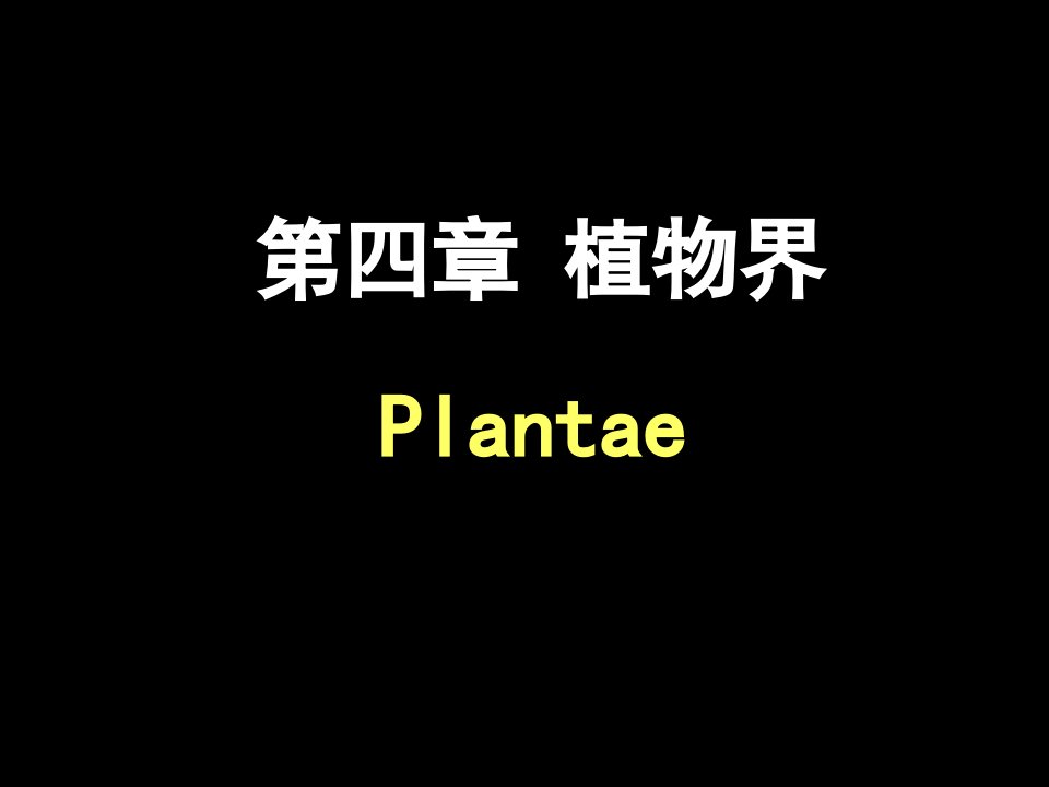 《古生物高等植物》PPT课件