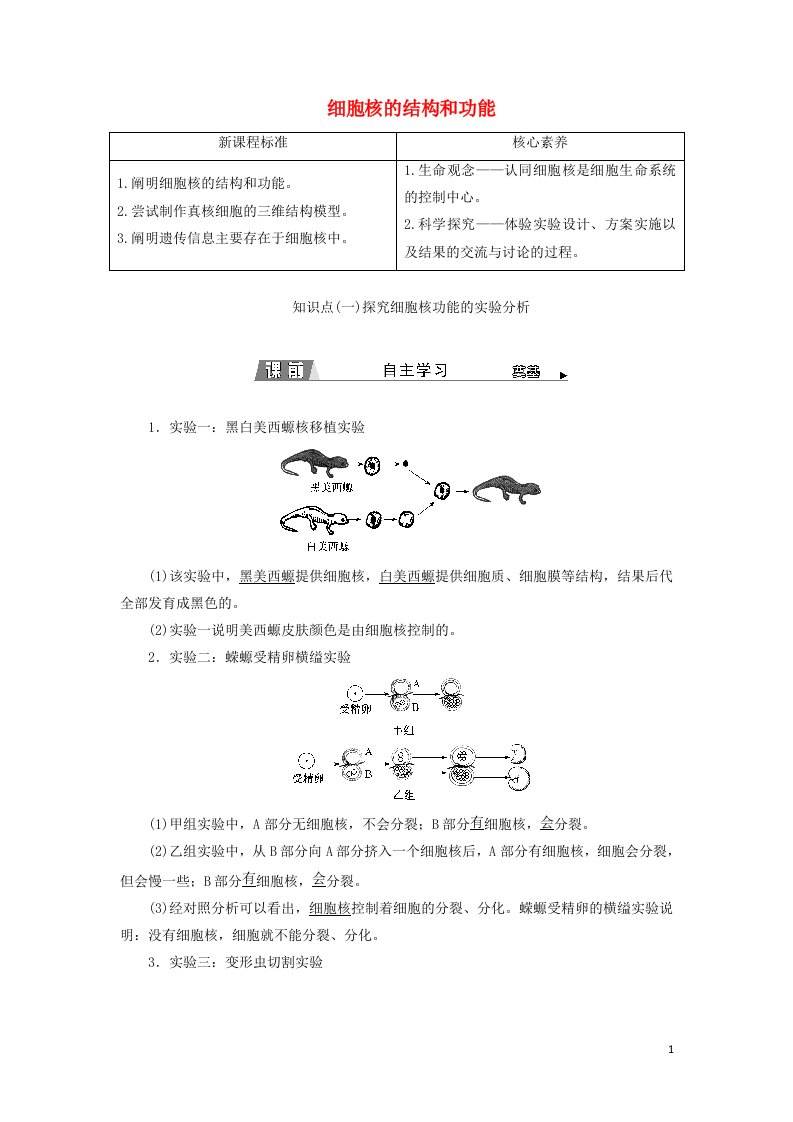 2021_2022年新教材高中生物第3章细胞的基本结构第3节细胞核的结构和功能学案新人教版必修1