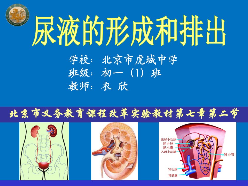 《尿液的形成》PPT课件