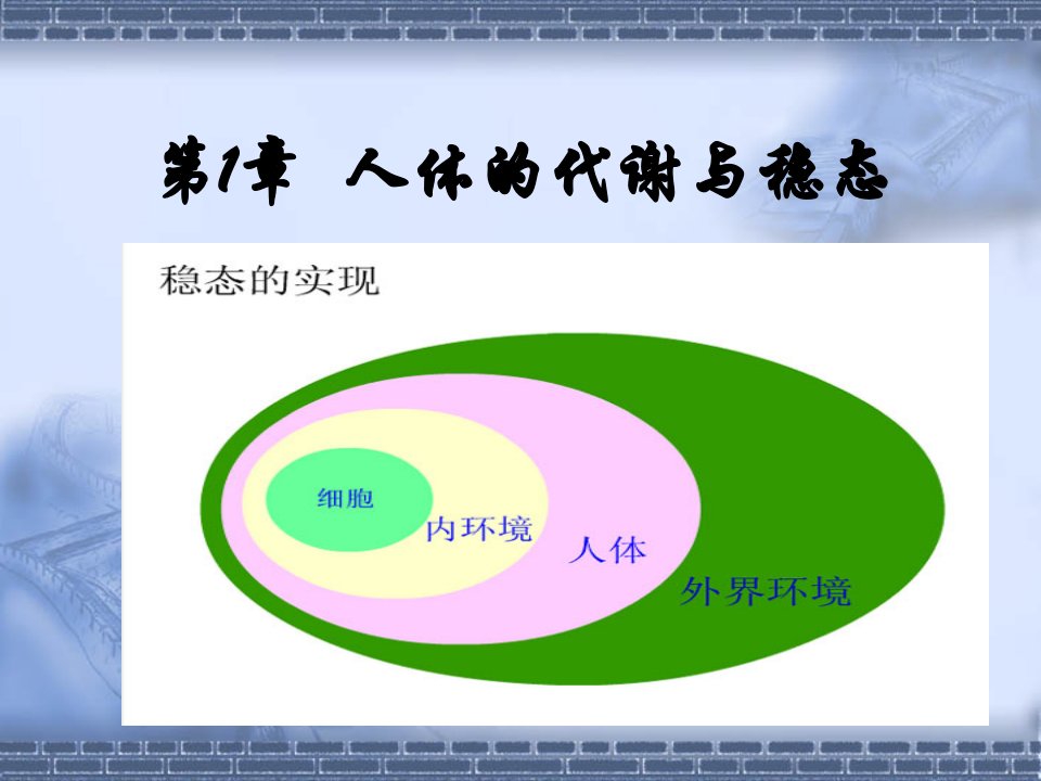 第二章第一节人体的代谢与稳态一内环境与稳态