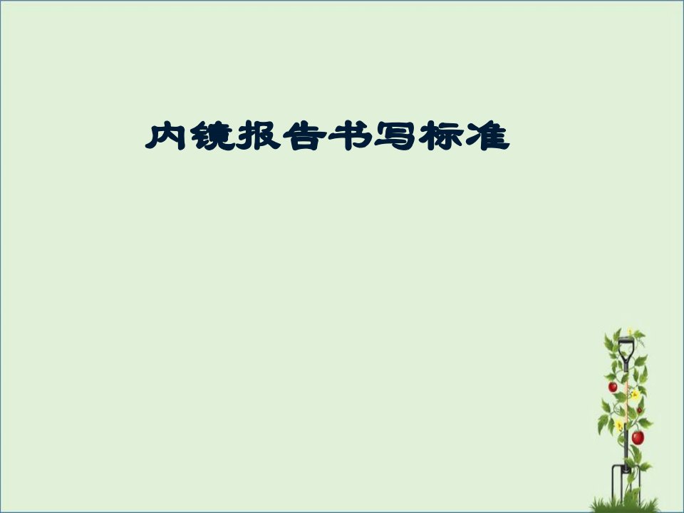 内镜报告书写规范课件