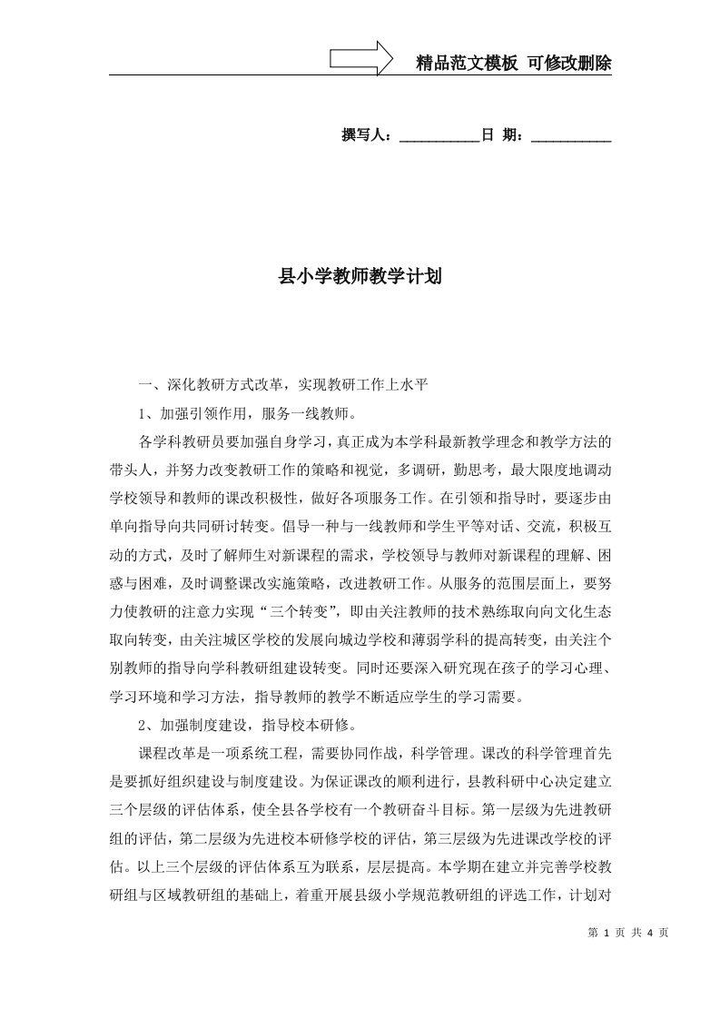 2022年县小学教师教学计划