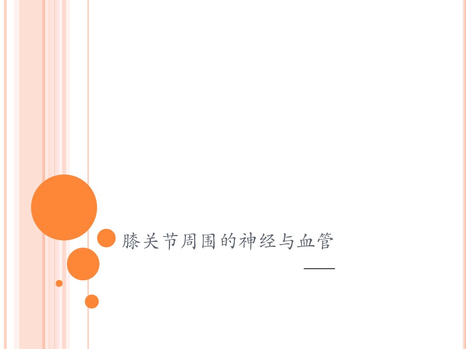 膝关节周围的血管与神经