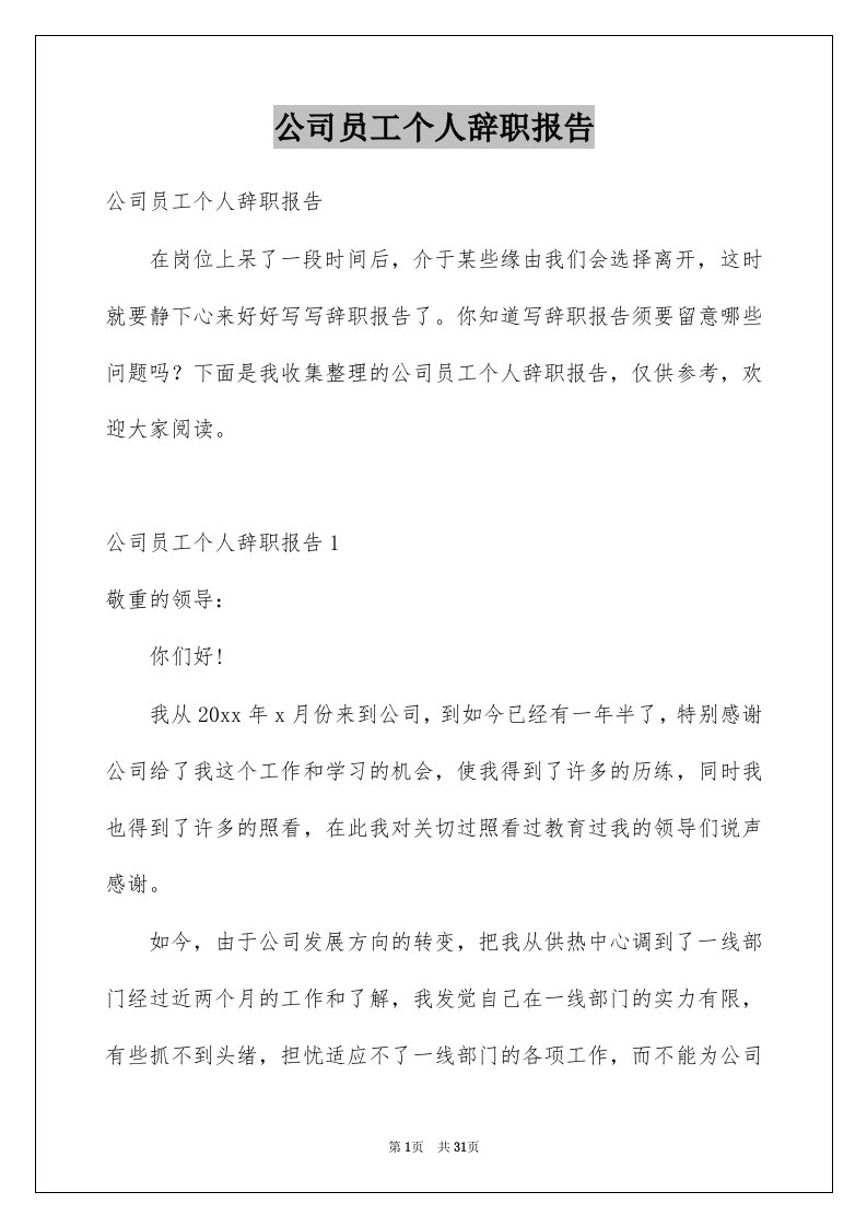 公司员工个人辞职报告例文2