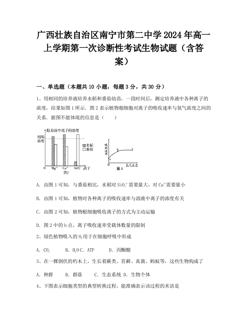 广西壮族自治区南宁市第二中学2024年高一上学期第一次诊断性考试生物试题（含答案）