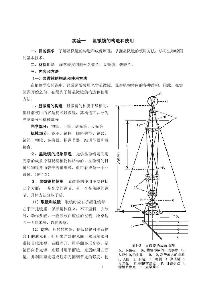 蕨类植物门分科检索表