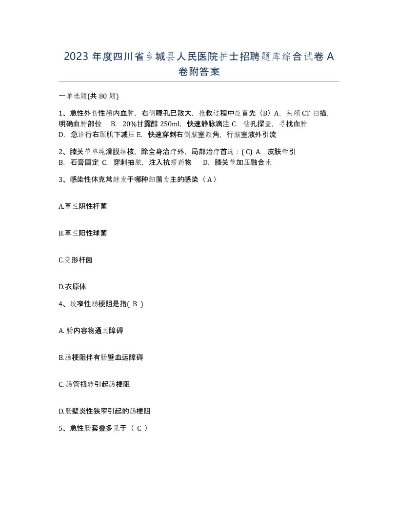 2023年度四川省乡城县人民医院护士招聘题库综合试卷A卷附答案