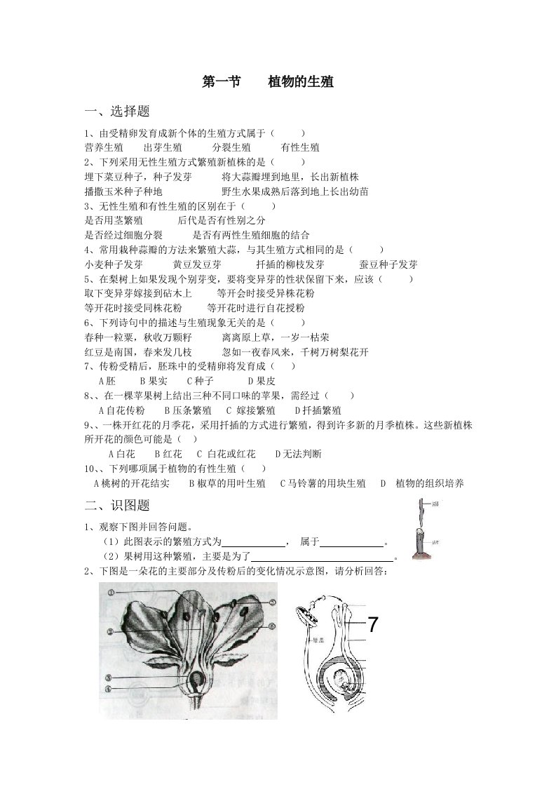 八年级下册先讲题目