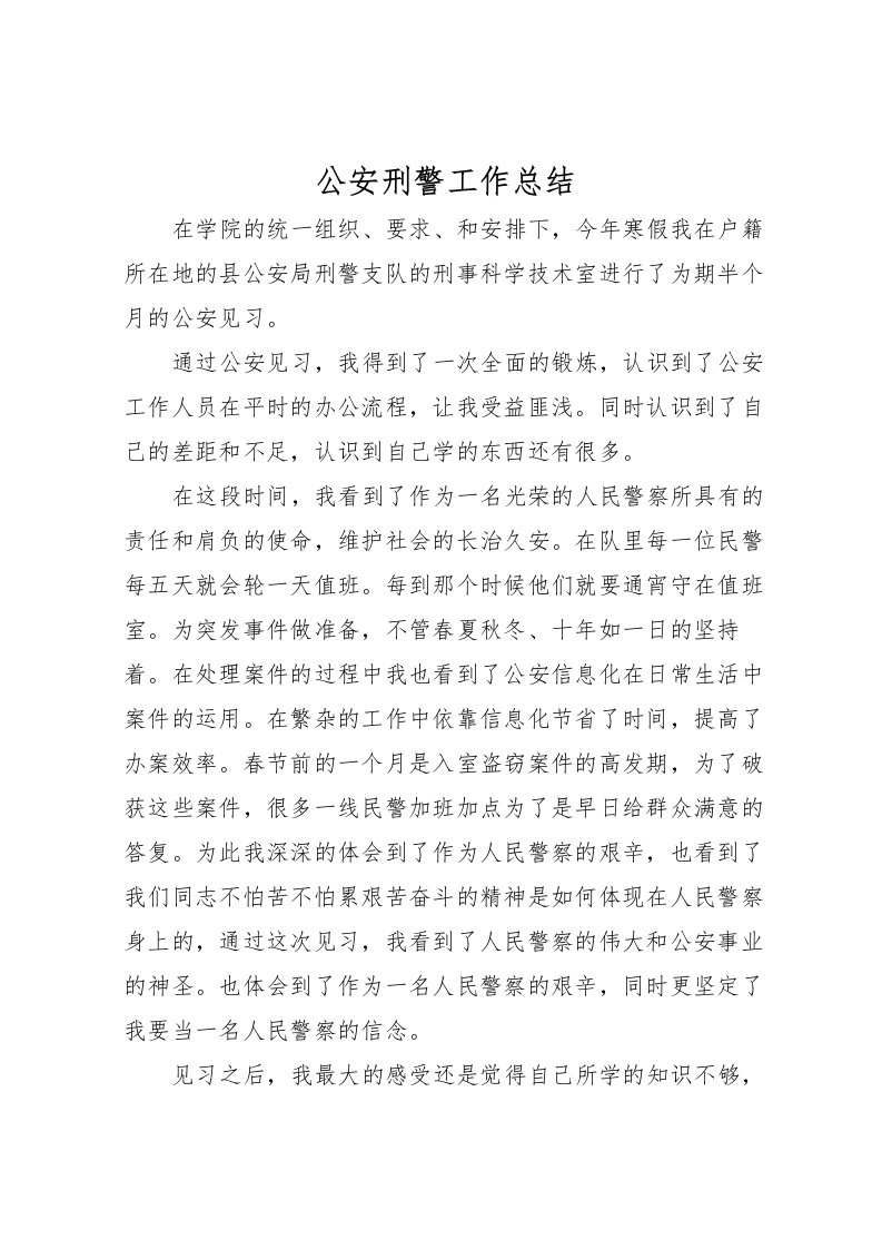 2022公安刑警工作总结