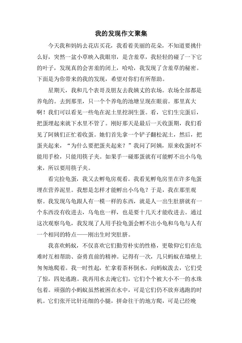 我的发现作文汇集