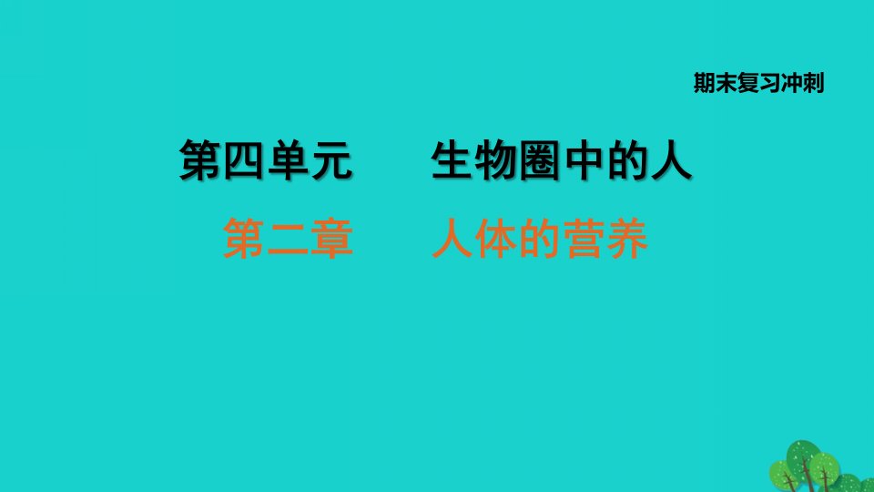 2022七年级生物下册期末复习冲刺第二章人体的营养习题课件新版新人教版