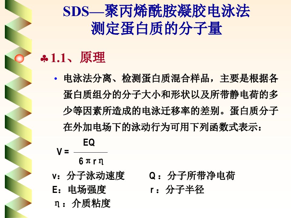 浙江大学生物化学实验甲SDS—聚丙烯酰胺凝胶电泳法测定蛋白质分子量