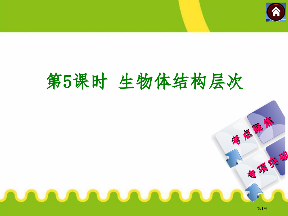 生物体的结构层次省公开课一等奖新名师优质课比赛一等奖课件