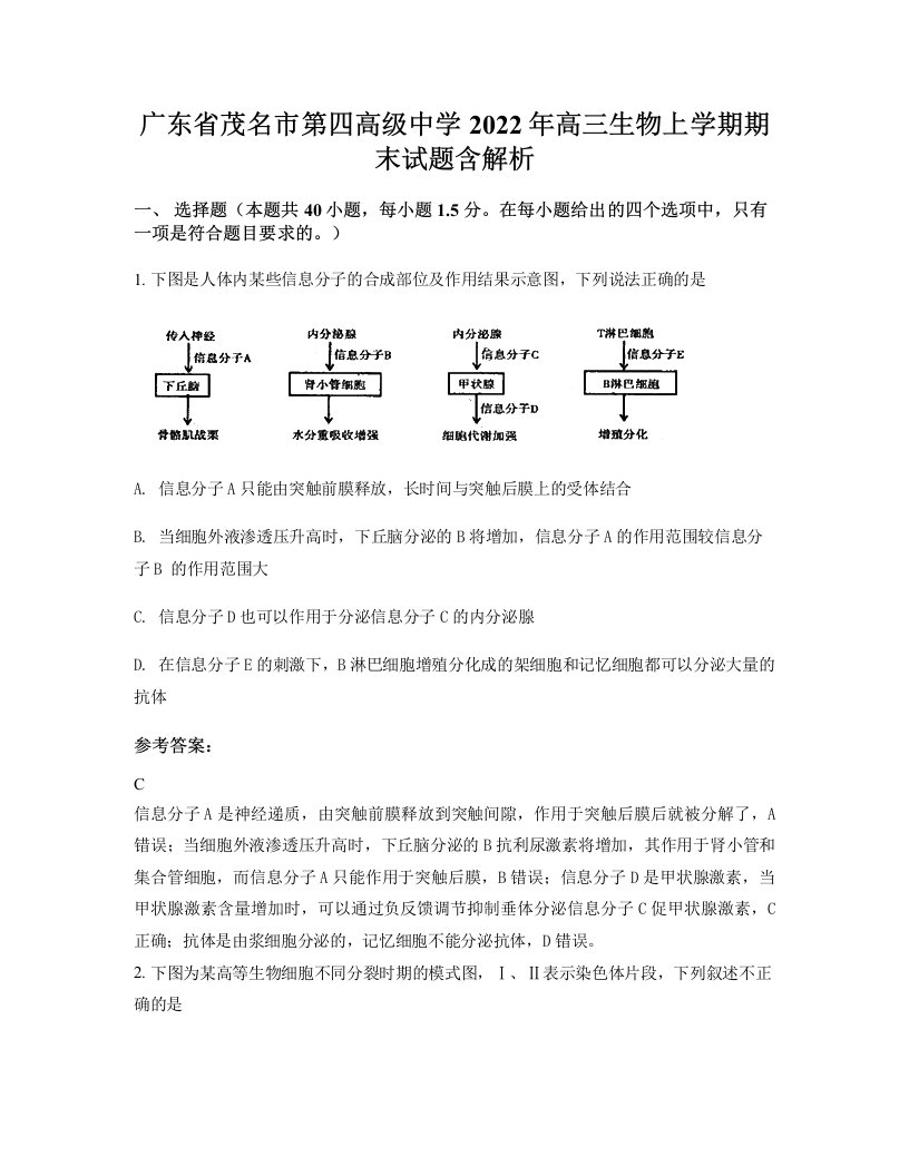 广东省茂名市第四高级中学2022年高三生物上学期期末试题含解析