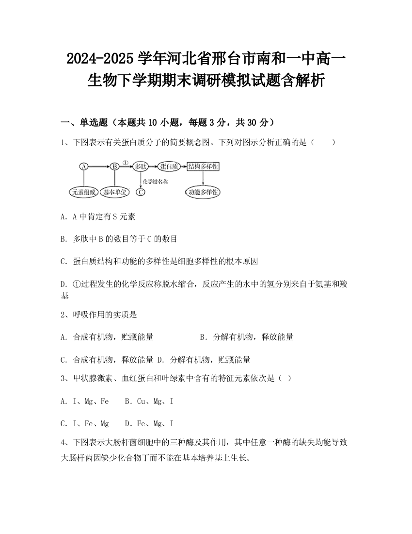 2024-2025学年河北省邢台市南和一中高一生物下学期期末调研模拟试题含解析