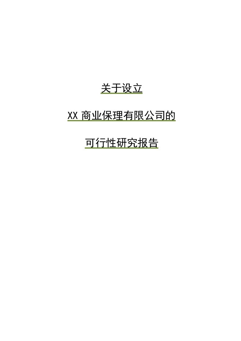 商业保理有限公司的可行性研究报告