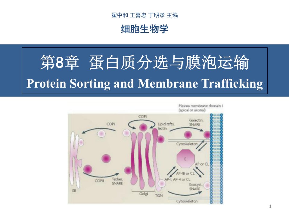 细胞生物学翟中和编