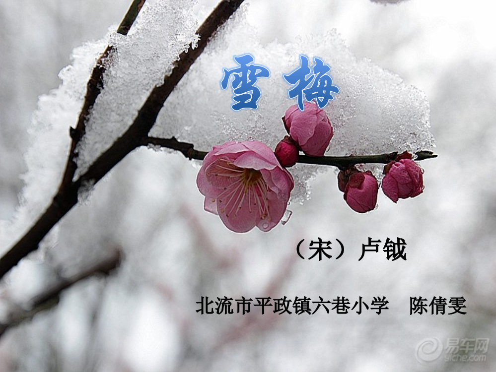 《雪梅》课件（陈倩雯平政镇六巷小学四年级上册）