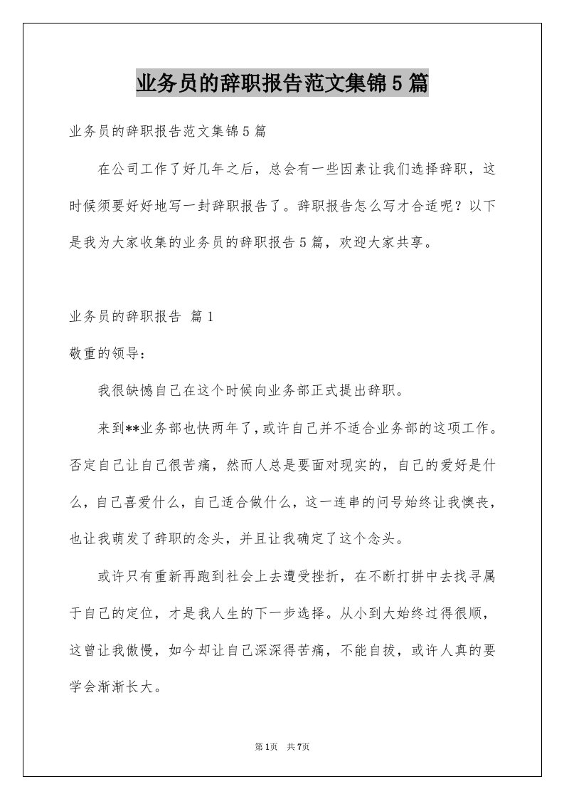 业务员的辞职报告范文集锦5篇