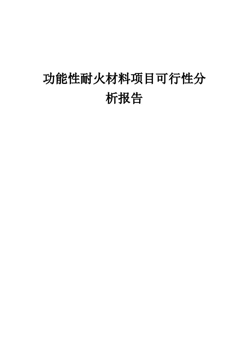 功能性耐火材料项目可行性分析报告