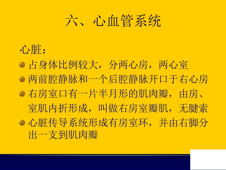 鸡的解剖-心血管系统-淋巴系统-内分泌系统-其他课件